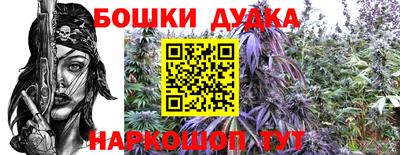 гидропоника Гусь-Хрустальный