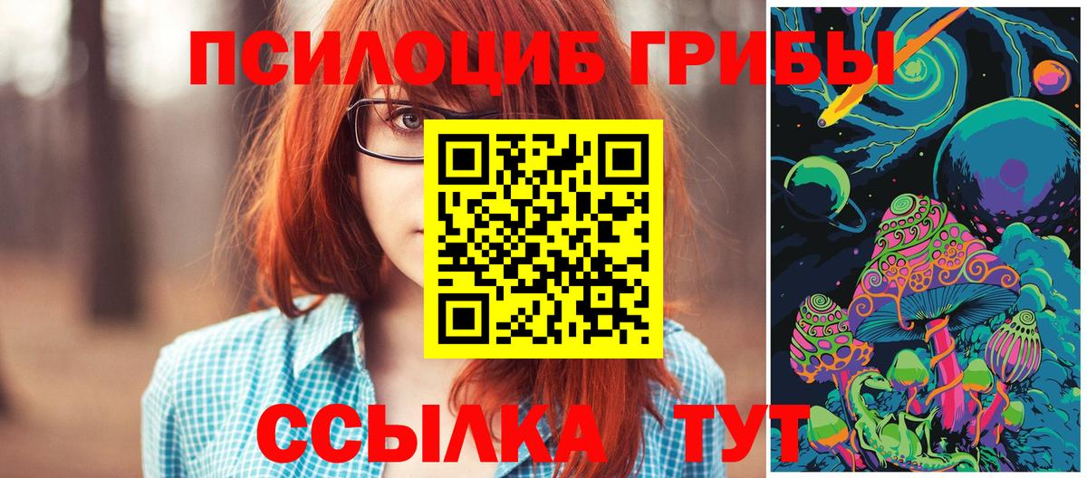 Галлюциногенные грибы Psilocybe Кандалакша